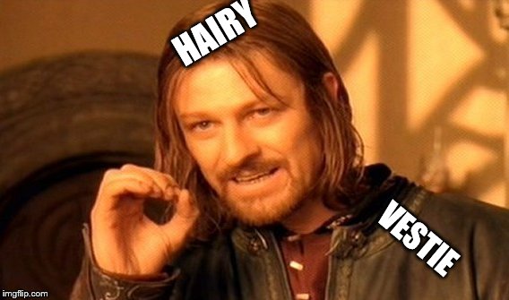 One Does Not Simply Meme | HAIRY; VESTIE | image tagged in memes,one does not simply | made w/ Imgflip meme maker