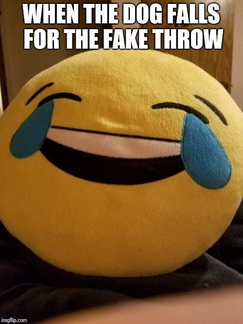 WHEN THE DOG FALLS FOR THE FAKE THROW | image tagged in memes | made w/ Imgflip meme maker