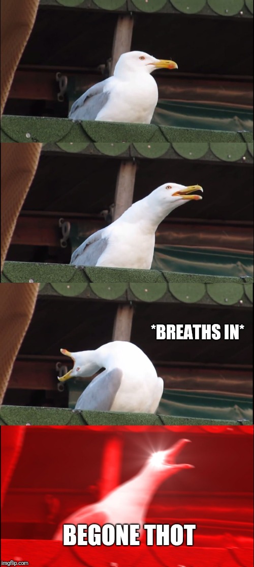 Inhaling Seagull | *BREATHS IN*; BEGONE THOT | image tagged in memes,inhaling seagull | made w/ Imgflip meme maker