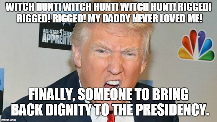 WITCH HUNT! WITCH HUNT! WITCH HUNT! RIGGED! RIGGED! RIGGED! MY DADDY NEVER LOVED ME! FINALLY, SOMEONE TO BRING BACK DIGNITY TO THE PRESIDENCY. | image tagged in trump mad | made w/ Imgflip meme maker