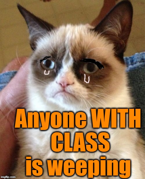 Grumpy Cat Meme | Anyone WITH CLASS is weeping | image tagged in memes,grumpy cat | made w/ Imgflip meme maker