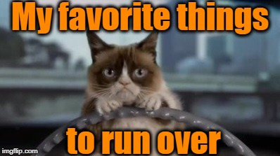 Grumpy cat driving | My favorite things to run over | image tagged in grumpy cat driving | made w/ Imgflip meme maker