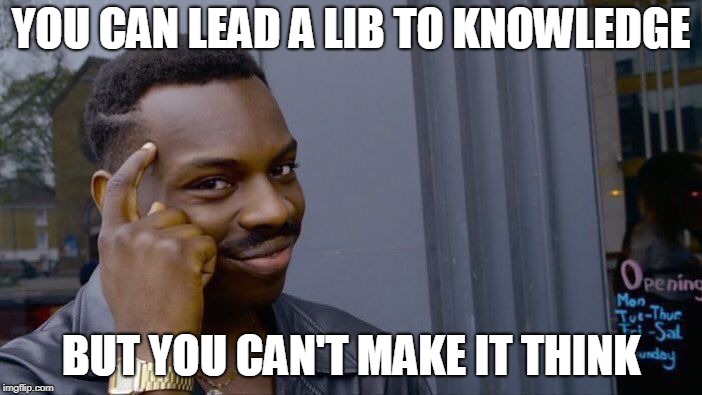Roll Safe Think About It Meme | YOU CAN LEAD A LIB TO KNOWLEDGE; BUT YOU CAN'T MAKE IT THINK | image tagged in memes,roll safe think about it | made w/ Imgflip meme maker