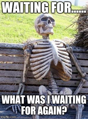 Waiting Skeleton | WAITING FOR...... WHAT WAS I WAITING FOR AGAIN? | image tagged in memes,waiting skeleton | made w/ Imgflip meme maker