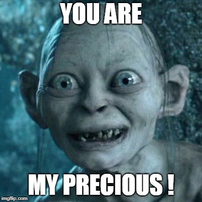 Gollum Meme | YOU ARE; MY PRECIOUS ! | image tagged in memes,gollum | made w/ Imgflip meme maker