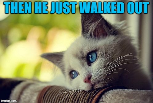First World Problems Cat Meme | THEN HE JUST WALKED OUT | image tagged in memes,first world problems cat | made w/ Imgflip meme maker