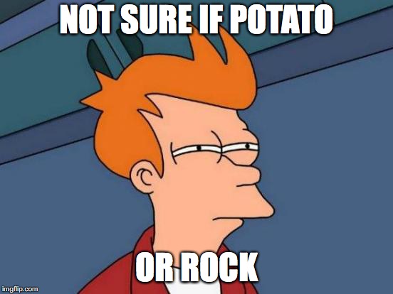 Futurama Fry Meme | NOT SURE IF POTATO OR ROCK | image tagged in memes,futurama fry | made w/ Imgflip meme maker