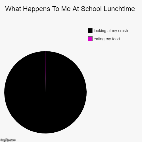 What Happens To Me At School Lunchtime | eating my food, looking at my crush | image tagged in funny,pie charts | made w/ Imgflip chart maker