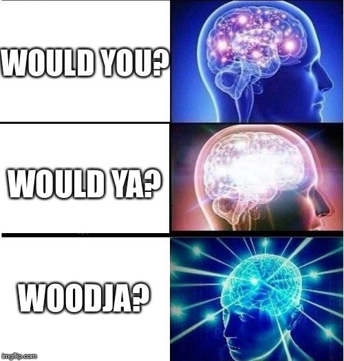 Expanding brain 3 panels | WOULD YOU? WOULD YA? WOODJA? | image tagged in expanding brain 3 panels | made w/ Imgflip meme maker