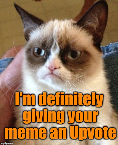 Grumpy Cat Meme | I'm definitely giving your meme an Upvote | image tagged in memes,grumpy cat | made w/ Imgflip meme maker