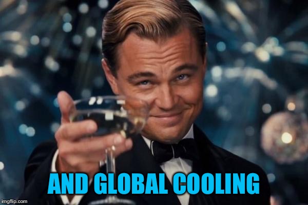 Leonardo Dicaprio Cheers Meme | AND GLOBAL COOLING | image tagged in memes,leonardo dicaprio cheers | made w/ Imgflip meme maker