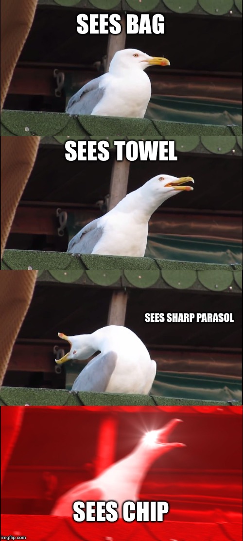 Inhaling Seagull Meme | SEES BAG; SEES TOWEL; SEES SHARP PARASOL; SEES CHIP | image tagged in memes,inhaling seagull | made w/ Imgflip meme maker