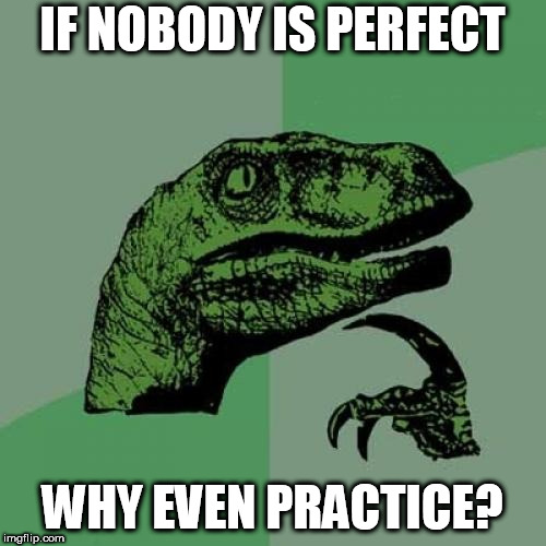 Philosoraptor | IF NOBODY IS PERFECT; WHY EVEN PRACTICE? | image tagged in memes,philosoraptor | made w/ Imgflip meme maker