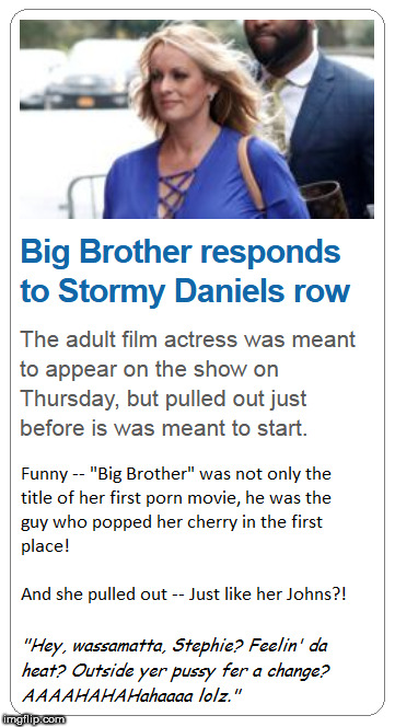 Stormy Daniels Pulls Out of Big Brother | image tagged in stormy daniels | made w/ Imgflip meme maker
