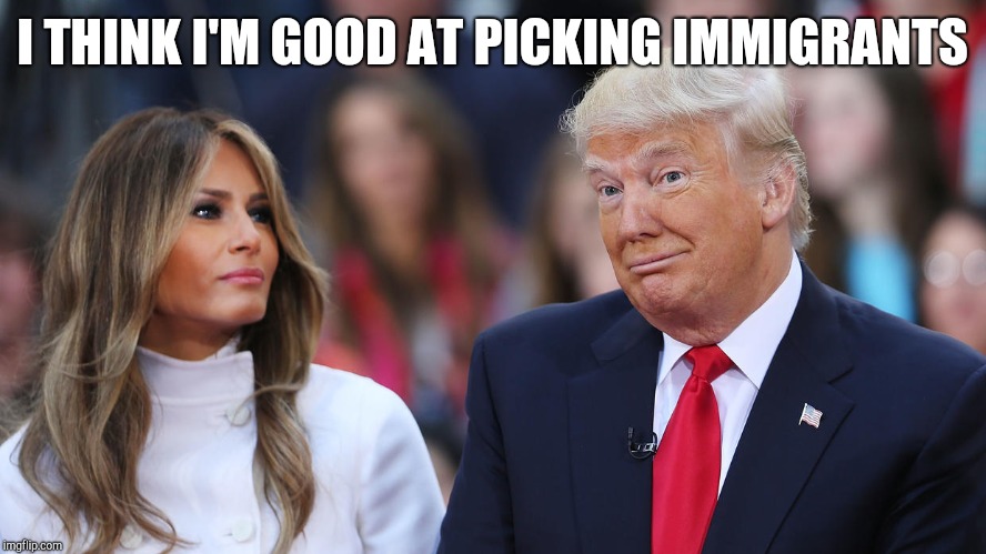 Donald and Melania Trump | I THINK I'M GOOD AT PICKING IMMIGRANTS | image tagged in donald and melania trump | made w/ Imgflip meme maker