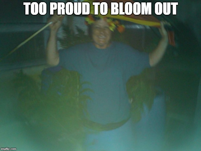 Proud | TOO PROUD TO BLOOM OUT | image tagged in proud,lady,barrel,plant,flower,bloom | made w/ Imgflip meme maker