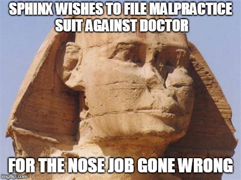 SPHINX WISHES TO FILE MALPRACTICE SUIT AGAINST DOCTOR FOR THE NOSE JOB GONE WRONG | made w/ Imgflip meme maker