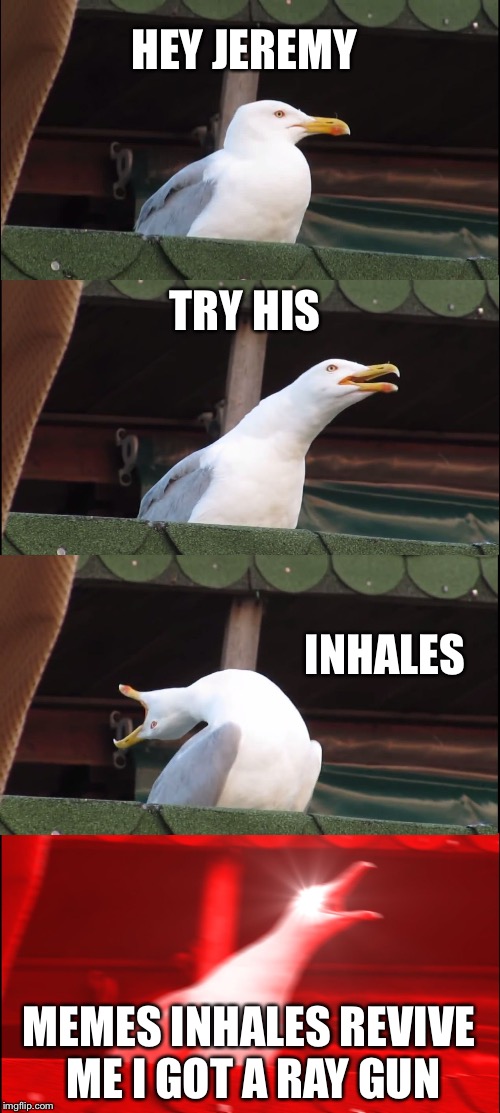 Inhaling Seagull Meme | HEY JEREMY; TRY HIS; INHALES; MEMES INHALES REVIVE ME I GOT A RAY GUN | image tagged in memes,inhaling seagull | made w/ Imgflip meme maker