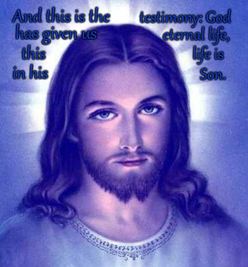 1 John 5:11 | And this is the; testimony: God; has given us; eternal life, this; life is; in his; Son. | image tagged in bible,holy bible,holy spirit,bibl verse,verse,god | made w/ Imgflip meme maker