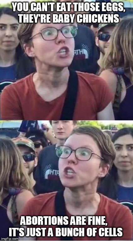 Angry Liberal Hypocrite | YOU CAN'T EAT THOSE EGGS, THEY'RE BABY CHICKENS; ABORTIONS ARE FINE,   IT'S JUST A BUNCH OF CELLS | image tagged in angry liberal hypocrite,liberal hypocrisy,special kind of stupid,liberal logic | made w/ Imgflip meme maker