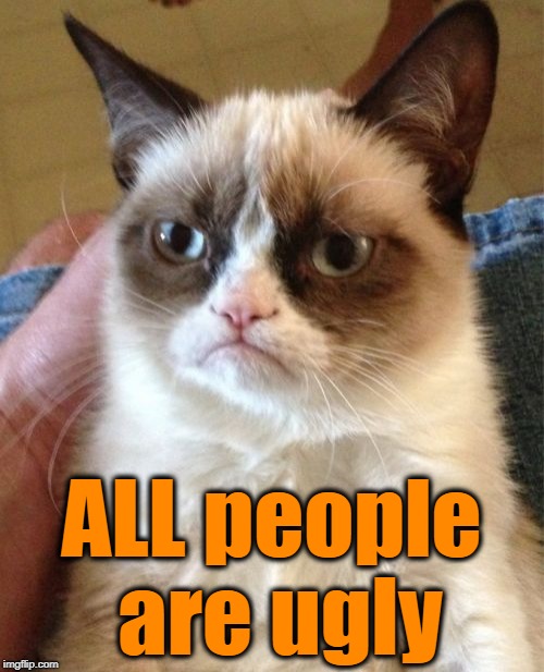 Grumpy Cat Meme | ALL people are ugly | image tagged in memes,grumpy cat | made w/ Imgflip meme maker