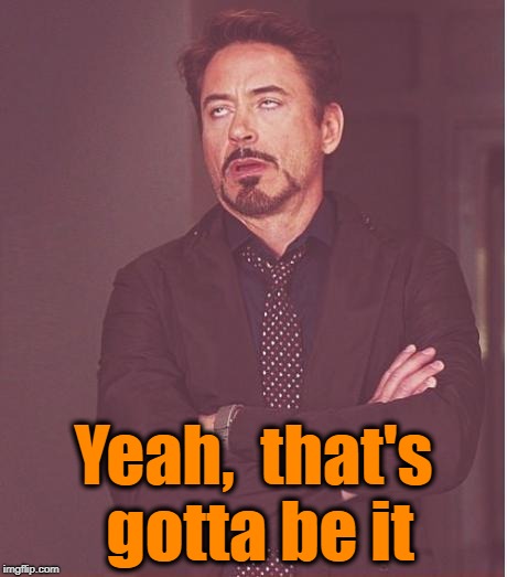 Face You Make Robert Downey Jr Meme | Yeah,  that's gotta be it | image tagged in memes,face you make robert downey jr | made w/ Imgflip meme maker