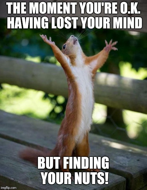Happy Squirrel | THE MOMENT YOU'RE O.K. HAVING LOST YOUR MIND; BUT FINDING YOUR NUTS! | image tagged in happy squirrel | made w/ Imgflip meme maker