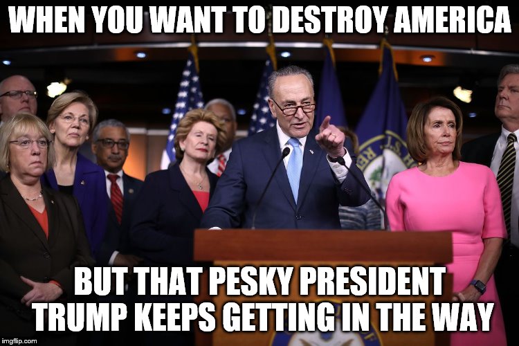 WHEN YOU WANT TO DESTROY AMERICA; BUT THAT PESKY PRESIDENT TRUMP KEEPS GETTING IN THE WAY | image tagged in dems | made w/ Imgflip meme maker