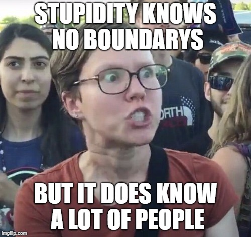 Triggered feminist | STUPIDITY KNOWS NO BOUNDARYS; BUT IT DOES KNOW A LOT OF PEOPLE | image tagged in triggered feminist | made w/ Imgflip meme maker