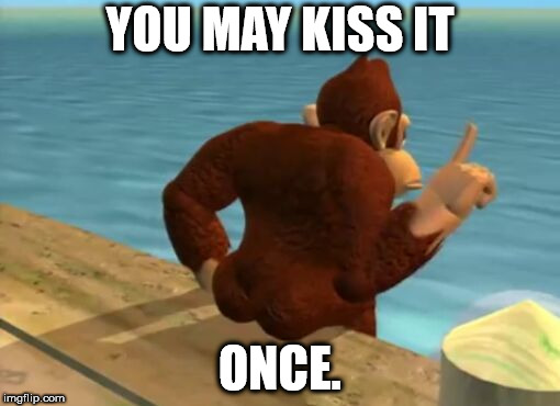 donkey kong butt | YOU MAY KISS IT; ONCE. | image tagged in donkey kong butt | made w/ Imgflip meme maker