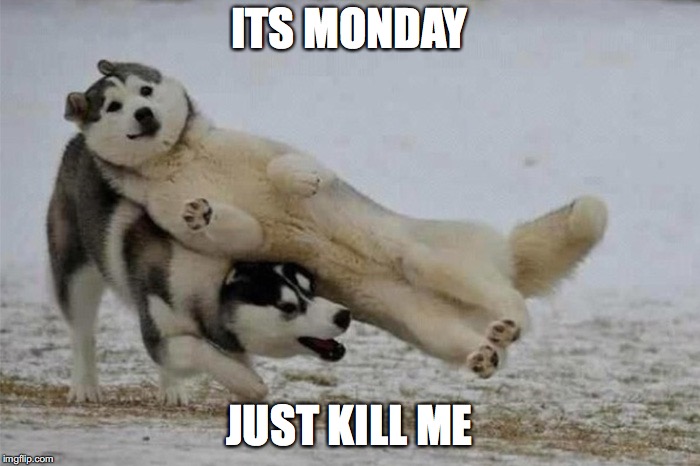 ITS MONDAY; JUST KILL ME | image tagged in monday | made w/ Imgflip meme maker
