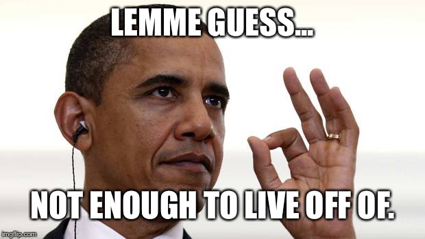 Obama zero | LEMME GUESS... NOT ENOUGH TO LIVE OFF OF. | image tagged in obama zero | made w/ Imgflip meme maker