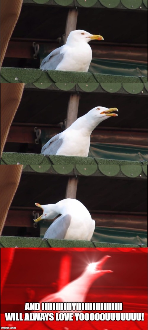 Inhaling Seagull | AND IIIIIIIIIIIYIIIIIIIIIIIIIIIII WILL ALWAYS LOVE YOOOOOUUUUUUU! | image tagged in memes,inhaling seagull | made w/ Imgflip meme maker