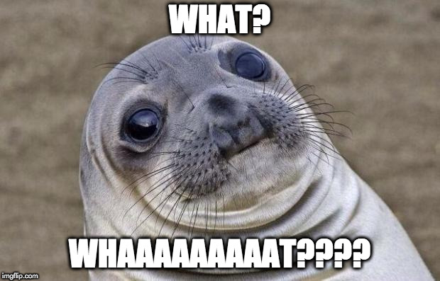 Awkward Moment Sealion | WHAT? WHAAAAAAAAAT???? | image tagged in memes,awkward moment sealion | made w/ Imgflip meme maker