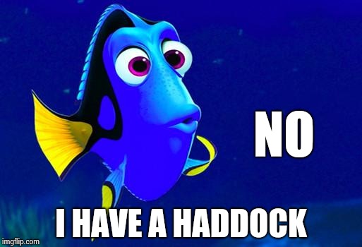 Bad Memory Fish | NO I HAVE A HADDOCK | image tagged in bad memory fish | made w/ Imgflip meme maker
