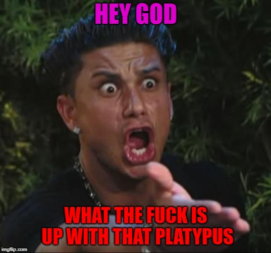 HEY GOD WHAT THE F**K IS UP WITH THAT PLATYPUS | made w/ Imgflip meme maker