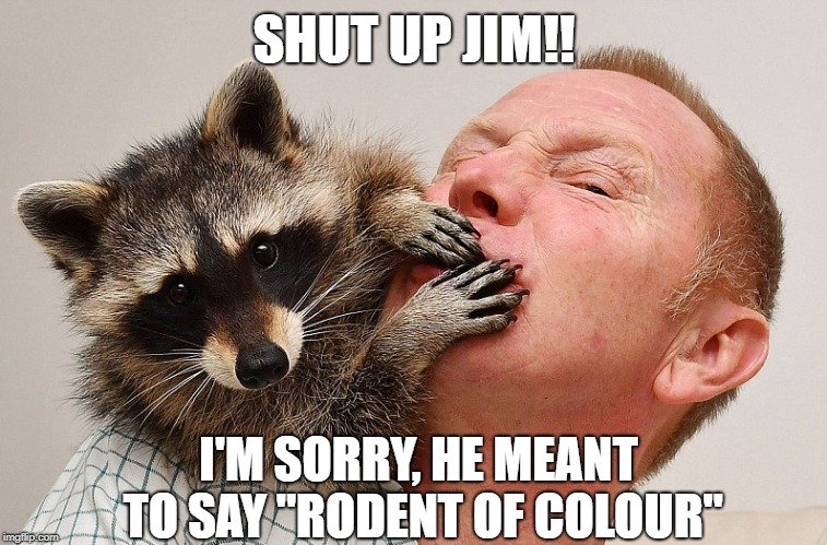 Rodent Of Colour | SHUT UP JIM!! I'M SORRY, HE MEANT TO SAY "RODENT OF COLOUR" | image tagged in racoon,memes | made w/ Imgflip meme maker