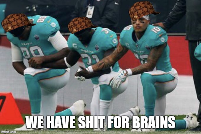 WE HAVE SHIT FOR BRAINS | image tagged in shitforbrains,scumbag | made w/ Imgflip meme maker
