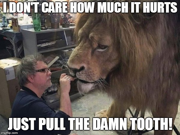 It's a zoo out there! | I DON'T CARE HOW MUCH IT HURTS; JUST PULL THE DAMN TOOTH! | image tagged in funny | made w/ Imgflip meme maker