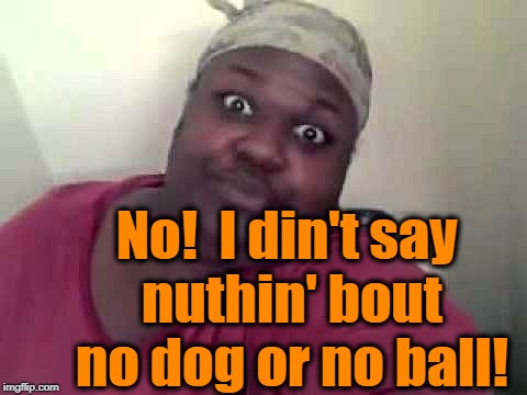 Black woman | No!  I din't say nuthin' bout no dog or no ball! | image tagged in black woman | made w/ Imgflip meme maker