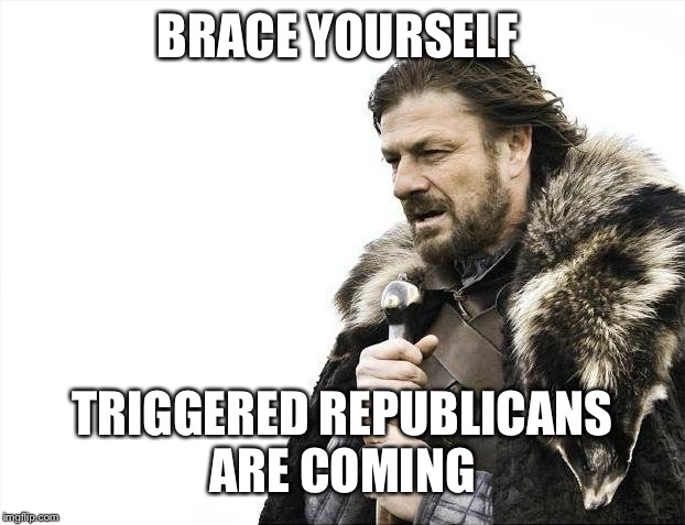 Brace Yourselves X is Coming Meme | BRACE YOURSELF TRIGGERED REPUBLICANS ARE COMING | image tagged in memes,brace yourselves x is coming | made w/ Imgflip meme maker
