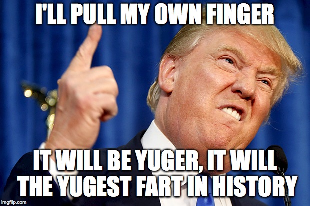 Donald Trump | I'LL PULL MY OWN FINGER IT WILL BE YUGER, IT WILL THE YUGEST FART IN HISTORY | image tagged in donald trump | made w/ Imgflip meme maker