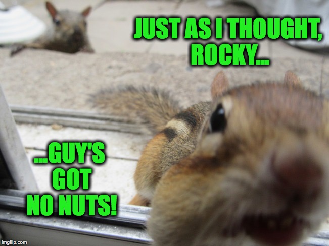 Intrepid Explorers | JUST AS I THOUGHT, ROCKY... ...GUY'S GOT NO NUTS! | image tagged in no nuts | made w/ Imgflip meme maker