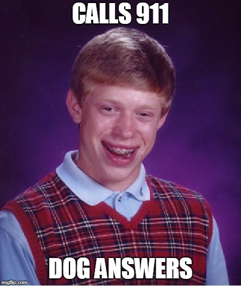 Bad Luck Brian Meme | CALLS 911 DOG ANSWERS | image tagged in memes,bad luck brian | made w/ Imgflip meme maker