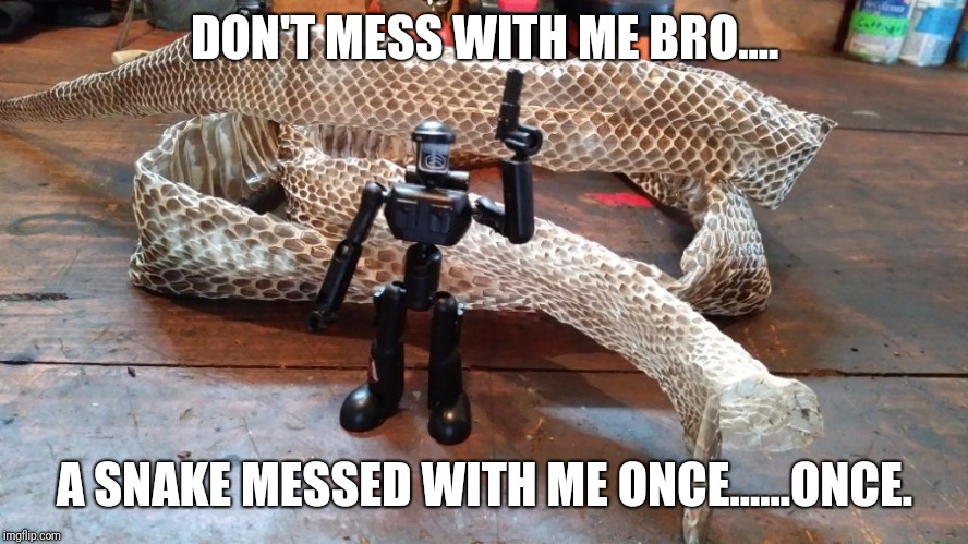 DON'T MESS WITH ME BRO.... A SNAKE MESSED WITH ME ONCE......ONCE. | made w/ Imgflip meme maker