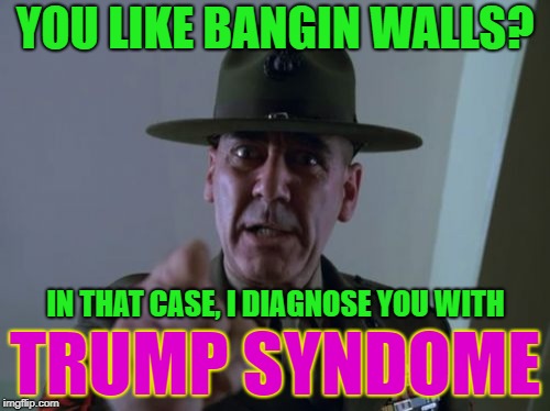 Sergeant Hartmann Meme | YOU LIKE BANGIN WALLS? IN THAT CASE, I DIAGNOSE YOU WITH; TRUMP SYNDOME | image tagged in memes,sergeant hartmann | made w/ Imgflip meme maker