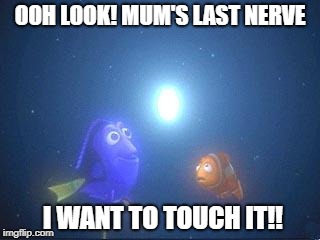 nemo | OOH LOOK! MUM'S LAST NERVE; I WANT TO TOUCH IT!! | image tagged in nemo | made w/ Imgflip meme maker