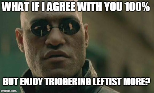 Matrix Morpheus Meme | WHAT IF I AGREE WITH YOU 100% BUT ENJOY TRIGGERING LEFTIST MORE? | image tagged in memes,matrix morpheus | made w/ Imgflip meme maker