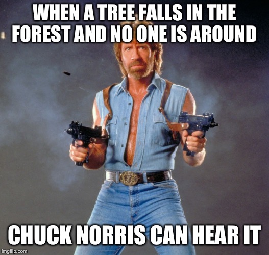 Chuck Norris Guns | WHEN A TREE FALLS IN THE FOREST AND NO ONE IS AROUND; CHUCK NORRIS CAN HEAR IT | image tagged in memes,chuck norris guns,chuck norris,tree,forest | made w/ Imgflip meme maker