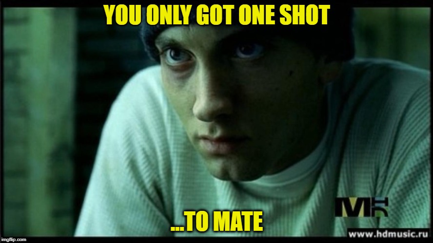 eminem lose yourself | YOU ONLY GOT ONE SHOT; ...TO MATE | image tagged in eminem lose yourself | made w/ Imgflip meme maker